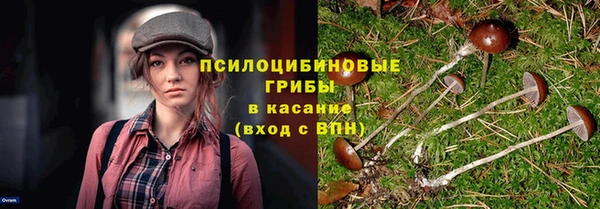 трава Абдулино
