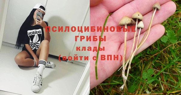 трава Абдулино