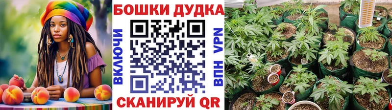 продажа наркотиков  Кадников  Марихуана тримм 